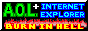 an internet badge that reads 'a.o.l. and internet explorer, burn in hell'